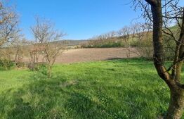 Casă de vânzare la țară – Sat Nandra, Comuna Bichiș, Județ Mureș