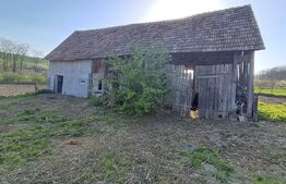 Casa de vânzare 3 camere Dileu Nou - 193086CV | BLITZ Târgu Mureș | Poza3
