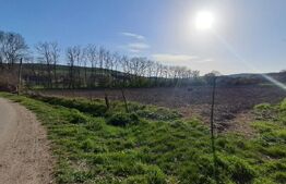 Casă de vânzare la țară – Sat Nandra, Comuna Bichiș, Județ Mureș