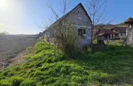 Casă de vânzare la țară – Sat Nandra, Comuna Bichiș, Județ Mureș