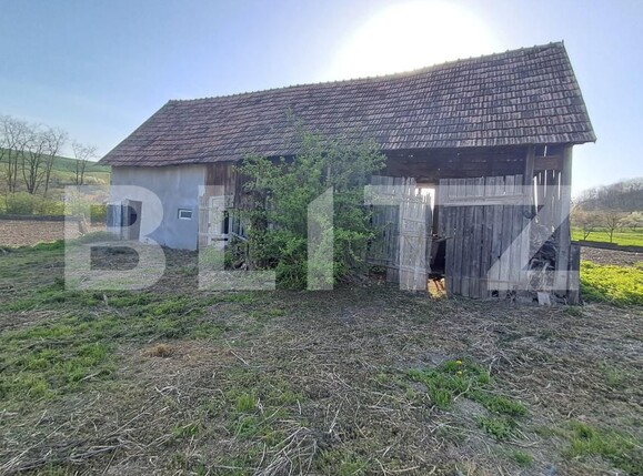 Casa de vânzare 4 camere Ludus - 193422CV | BLITZ Târgu Mureș | Poza1