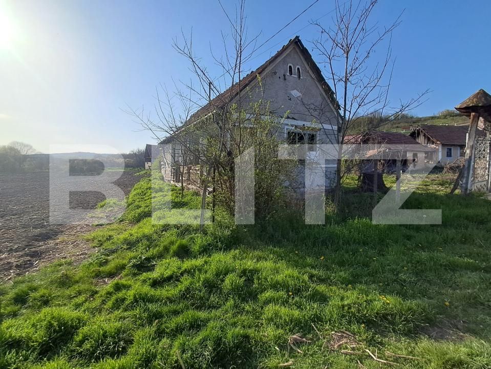 Casa de vânzare 4 camere Ludus - 193422CV | BLITZ Târgu Mureș | Poza6