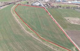 Vand teren intravilan pentru dezvoltare imobiliara/ depozite/ hale, Reghin