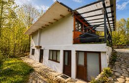 Colț de rai în Munții Călimani – cabană ideală pentru vacanță sau investiție