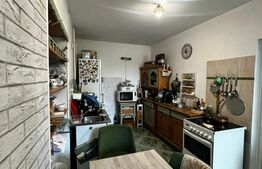 Casa individuala, 80 mp, zona Centrala