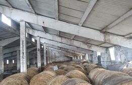 Spațiu agricol (grajd/hală) Miheșu de Câmpie – suprafață 1128 mp