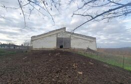 Spațiu agricol (grajd/hală) Miheșu de Câmpie – suprafață 1128 mp