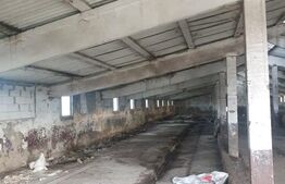 Spațiu agricol (grajd/hală) Miheșu de Câmpie – suprafață 1128 mp