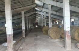 Spațiu agricol (grajd/hală) Miheșu de Câmpie – suprafață 1128 mp