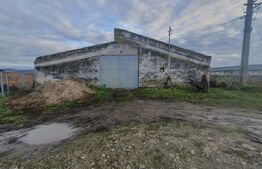 Spațiu agricol (grajd/hală) Miheșu de Câmpie – suprafață 1128 mp