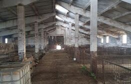 Spațiu agricol (grajd/hală) Miheșu de Câmpie – suprafață 1128 mp