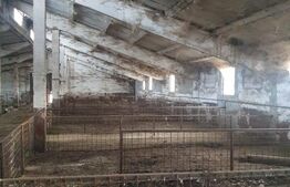 Spațiu agricol (grajd/hală) Miheșu de Câmpie – suprafață 1128 mp