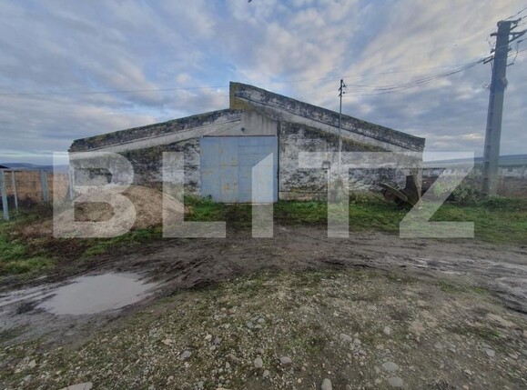 Spațiu industrial de vânzare Sarmasu - 193664SVI | BLITZ Târgu Mureș | Poza2