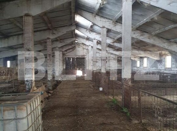 Spațiu industrial de vânzare Sarmasu - 193664SVI | BLITZ Târgu Mureș | Poza3