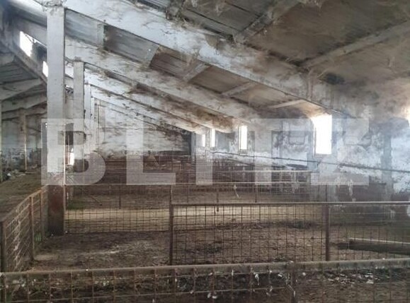 Spațiu industrial de vânzare Sarmasu - 193664SVI | BLITZ Târgu Mureș | Poza8