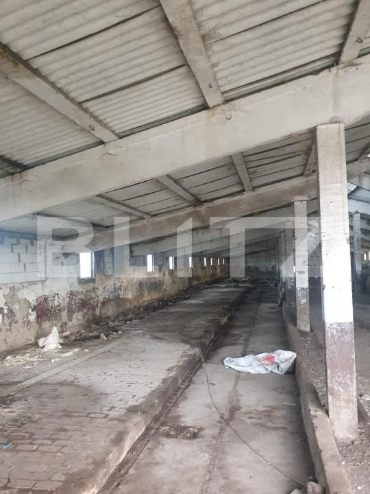 Spațiu industrial de vânzare Sarmasu - 193664SVI | BLITZ Târgu Mureș | Poza6
