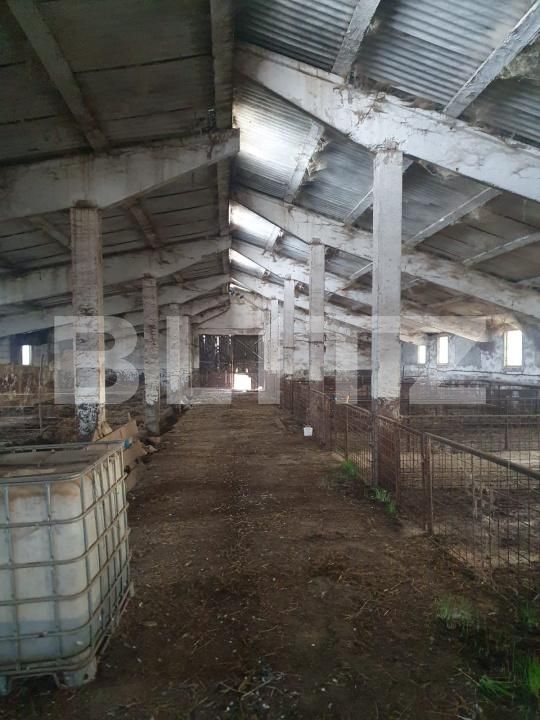 Spațiu industrial de vânzare Sarmasu - 193664SVI | BLITZ Târgu Mureș | Poza3