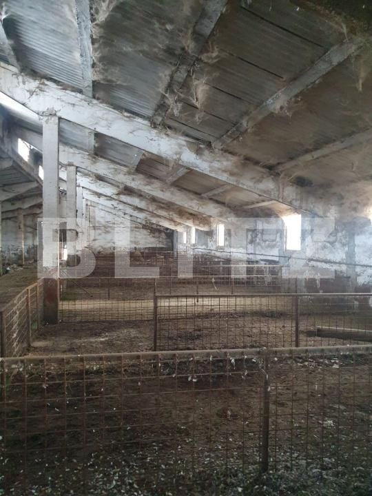 Spațiu industrial de vânzare Sarmasu - 193664SVI | BLITZ Târgu Mureș | Poza8