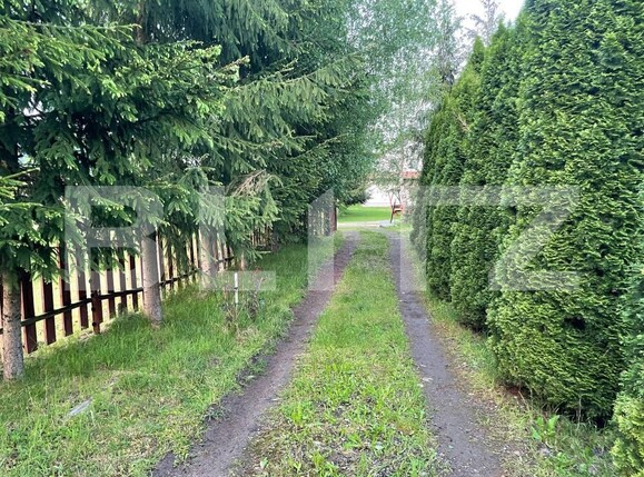 Casa de vânzare 3 camere Campu Cetatii - 193765CV | BLITZ Târgu Mureș | Poza2