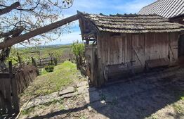 Nazna | Casă + 2900 mp teren
