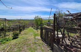 Nazna | Casă + 2900 mp teren