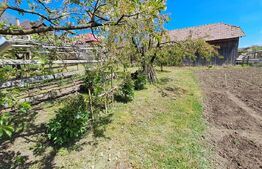 Nazna | Casă + 2900 mp teren