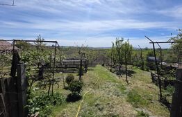 Nazna | Casă + 2900 mp teren