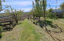 Nazna | Casă + 2900 mp teren