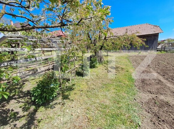 Casa de vânzare 3 camere Nazna - 193786CV | BLITZ Târgu Mureș | Poza17