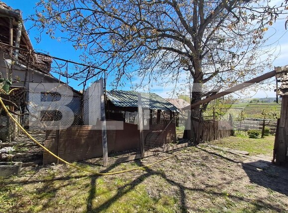 Casa de vânzare 3 camere Nazna - 193786CV | BLITZ Târgu Mureș | Poza4