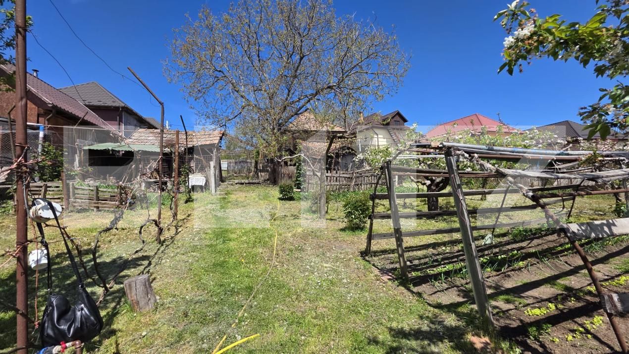 Casa de vânzare 3 camere Nazna - 193786CV | BLITZ Târgu Mureș | Poza13