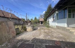 Casă de vânzare, 1063 mp teren, zona Mureșeni