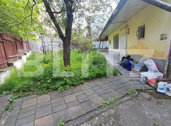Casa de vânzare 3 camere Semicentral - 193909CV | BLITZ Târgu Mureș | Poza5