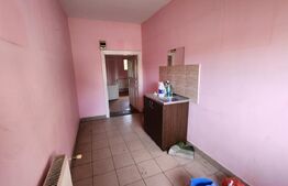Casă spațioasă, 240 mp, pretabil pentru service auto, zona 7 Nov - Târgu Mureș