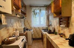 Apartament 2 camere, 47 mp, etaj 3, zona Aleea Carpați