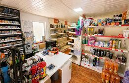 Casa tip spatiu comercial de vanzare Filea, Com. Deda