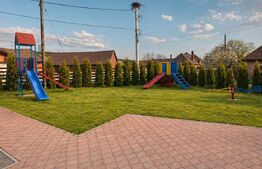 Casa tip spatiu comercial de vanzare Filea, Com. Deda