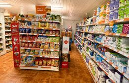 Casa tip spatiu comercial de vanzare Filea, Com. Deda