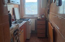 Apartament 2 camere, 40 mp, zona Dacia