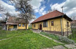 Casa de vanzare! 17Ari teren - Leordeni! 15KM de Targu Mures!