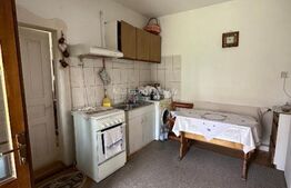 Casa de vanzare! 17Ari teren - Leordeni! 15KM de Targu Mures!