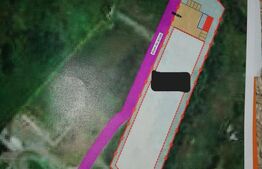 Teren intravilan 5.300 mp în Corunca – ideal pentru investiție sau hale