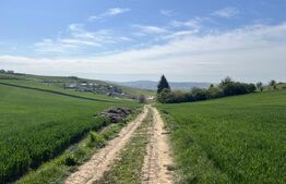 Teren generos 15.900 mp (intravilan + extravilan) în Sâncraiu de Mureș