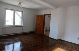 Se vinde casă cu loft și pădure la poartă in Sighișoara