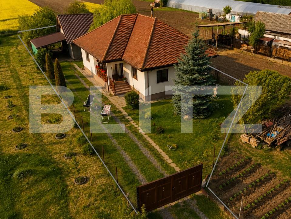 Casa de vânzare 3 camere Cristești - 194492CV | BLITZ Târgu Mureș | Poza3
