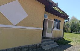 Două case, 130 mp, curte generoasă, zona Sovata 