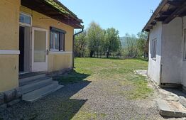 Două case, 130 mp, curte generoasă, zona Sovata 