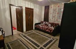 Apartament de vanzare, 55 mp, strada Aleea Savinesti
