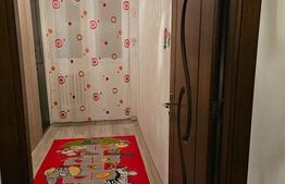 Apartament de vanzare, 55 mp, strada Aleea Savinesti