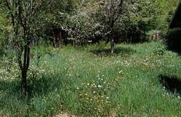 Cabana munte, 60 mp, zona iesire Praid 
